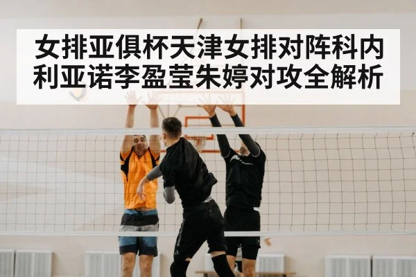 volleyball net block